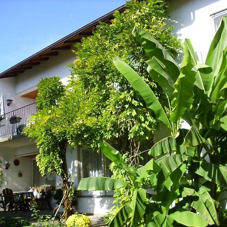 Ferienwohnung Immenstaad Immenstaad am Bodensee Eksteriør billede